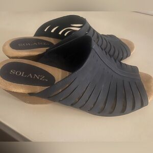 Solanz Women's Navy Heeled Mules